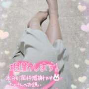 ヒメ日記 2025/07/12 15:18 投稿 あみ 風鈴（ふうりん）