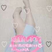 ヒメ日記 2025/09/07 16:49 投稿 あみ 風鈴（ふうりん）