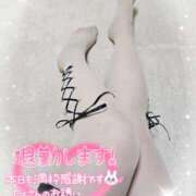 ヒメ日記 2026/04/11 15:46 投稿 あみ 風鈴（ふうりん）