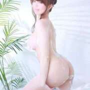 ヒメ日記 2025/05/28 16:44 投稿 ティアラ チューリップ福井本館