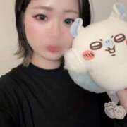 ヒメ日記 2025/04/18 15:30 投稿 まな My Essentials