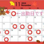 ヒメ日記 2024/11/11 19:31 投稿 はな 小岩人妻花壇