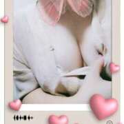 ヒメ日記 2025/06/09 12:31 投稿 はな 小岩人妻花壇