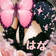 ヒメ日記 2026/02/10 15:45 投稿 はな 小岩人妻花壇