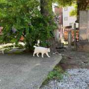 ヒメ日記 2025/12/26 15:01 投稿 さや 世界のあんぷり亭 日暮里店