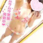 ヒメ日記 2025/01/09 18:03 投稿 せな◆至る所で性欲発散する変態 即イキ淫乱倶楽部