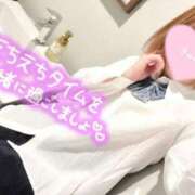 ヒメ日記 2025/04/02 16:19 投稿 せな◆至る所で性欲発散する変態 即イキ淫乱倶楽部