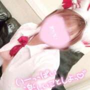 ヒメ日記 2025/05/27 10:08 投稿 せな◆至る所で性欲発散する変態 即イキ淫乱倶楽部