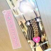 ヒメ日記 2025/06/24 10:14 投稿 せな◆至る所で性欲発散する変態 即イキ淫乱倶楽部