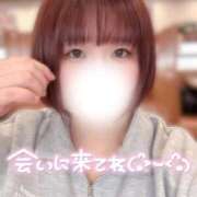 ヒメ日記 2026/03/19 12:52 投稿 せな◆至る所で性欲発散する変態 即イキ淫乱倶楽部