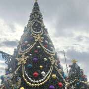 ヒメ日記 2025/11/20 20:26 投稿 める パンドラ(上野)