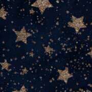 ヒメ日記 2025/12/17 22:10 投稿 める パンドラ(上野)