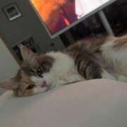 ヒメ日記 2025/07/15 09:07 投稿 ココア Club Hearts