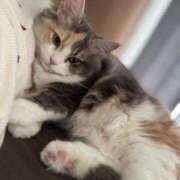 ヒメ日記 2025/10/27 09:00 投稿 ココア Club Hearts