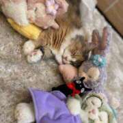 ヒメ日記 2025/12/17 09:00 投稿 ココア Club Hearts