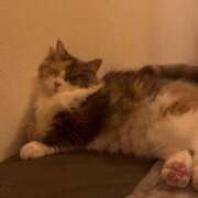 ヒメ日記 2026/04/09 16:37 投稿 ココア Club Hearts