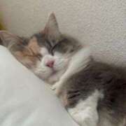 ヒメ日記 2026/07/13 21:33 投稿 ココア Club Hearts