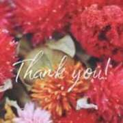 ヒメ日記 2026/04/20 22:45 投稿 あすか 群馬高崎前橋ちゃんこ