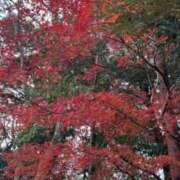 ヒメ日記 2025/01/13 16:08 投稿 るき 熟女家 堺東店