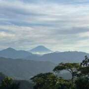 ヒメ日記 2025/07/22 20:38 投稿 るり 全裸の女神orいたずら痴漢電車