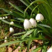 ヒメ日記 2025/04/14 15:23 投稿 本条　みか パレット(熊本)