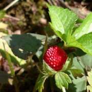 ヒメ日記 2025/05/12 18:03 投稿 本条　みか パレット(熊本)