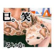 ヒメ日記 2025/02/21 16:09 投稿 るいか One More奥様　横浜関内店