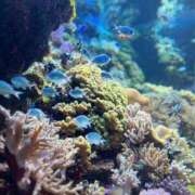 ヒメ日記 2025/06/28 12:54 投稿 れん ぽっちゃり巨乳専門店 町田相模原ちゃんこ