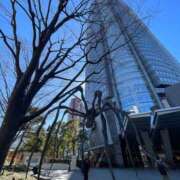 ヒメ日記 2025/02/06 14:09 投稿 長門明奈 ローテンブルク