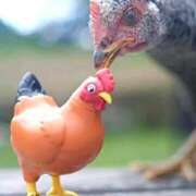 ヒメ日記 2025/02/24 21:22 投稿 長門明奈 ローテンブルク