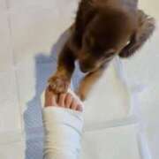 ヒメ日記 2025/02/27 08:41 投稿 長門明奈 ローテンブルク