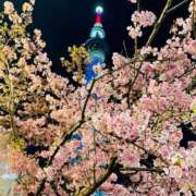 ヒメ日記 2025/03/10 21:50 投稿 長門明奈 ローテンブルク