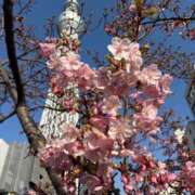 ヒメ日記 2025/03/14 10:06 投稿 長門明奈 ローテンブルク