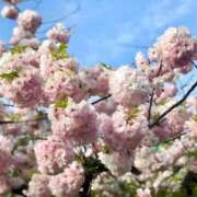 ヒメ日記 2025/03/23 16:30 投稿 長門明奈 ローテンブルク