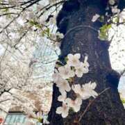 ヒメ日記 2025/03/29 20:02 投稿 長門明奈 ローテンブルク