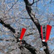 ヒメ日記 2025/04/04 20:45 投稿 長門明奈 ローテンブルク