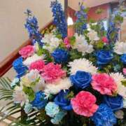 ヒメ日記 2025/04/08 17:18 投稿 長門明奈 ローテンブルク