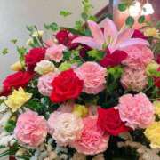 ヒメ日記 2025/04/15 18:01 投稿 長門明奈 ローテンブルク