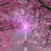 ヒメ日記 2025/04/17 07:01 投稿 長門明奈 ローテンブルク