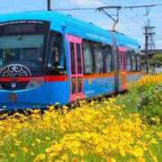 ヒメ日記 2025/04/18 17:01 投稿 長門明奈 ローテンブルク