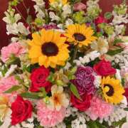 ヒメ日記 2025/04/30 21:35 投稿 長門明奈 ローテンブルク