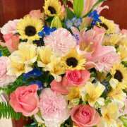 ヒメ日記 2025/06/04 21:07 投稿 長門明奈 ローテンブルク