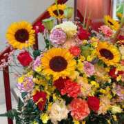 ヒメ日記 2025/07/17 20:02 投稿 長門明奈 ローテンブルク