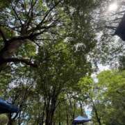 ヒメ日記 2025/08/13 13:38 投稿 長門明奈 ローテンブルク