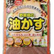 ヒメ日記 2025/09/01 00:39 投稿 長門明奈 ローテンブルク