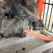 ヒメ日記 2025/09/13 23:56 投稿 長門明奈 ローテンブルク