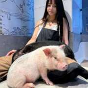 ヒメ日記 2025/09/17 19:29 投稿 長門明奈 ローテンブルク