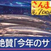 ヒメ日記 2025/09/22 07:15 投稿 長門明奈 ローテンブルク