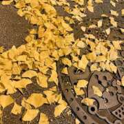 ヒメ日記 2025/11/28 07:01 投稿 長門明奈 ローテンブルク