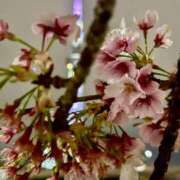 ヒメ日記 2026/04/03 22:49 投稿 長門明奈 ローテンブルク